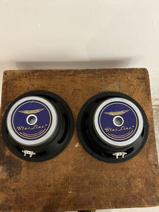 Altavoces Ashdown 10" - 250W - 16 Ohm