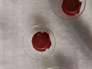 Botones New Nintendo 3DS XL Rojos