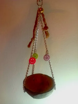 Pack para agapornis/periquitos/loros