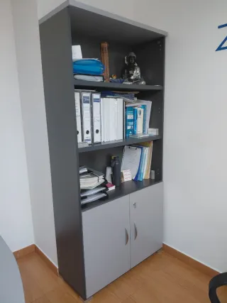 Muebles de oficina. Mesa, cajonera y estantería.