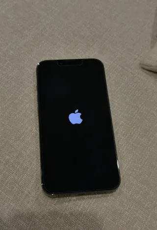 iPhone 13 Pro 256GB Grigio