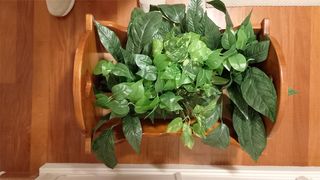 Cuna de madera decorativa