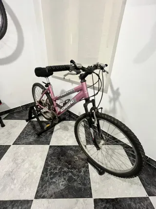 Bicicleta rosa y rodillo entrenamiento