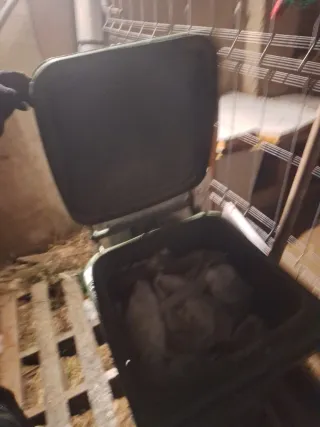 Contenedor de basura con ruedas