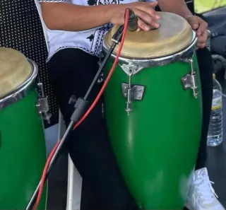 Congas Verdes