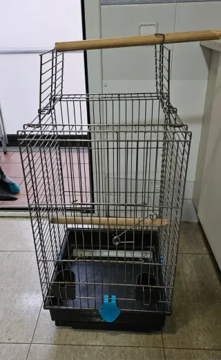 Jaula para loro grande