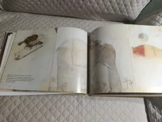 A mi manera: Una historia de zapatos (Spanish E...