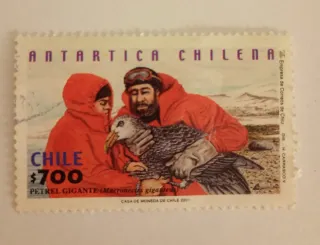 Sello Antártica Chilena $700 Petrel Gigante
