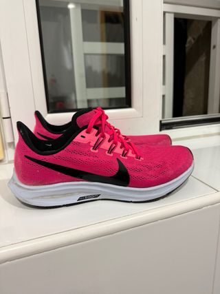 Nike Air Zoom Pegasus 33 Mujer