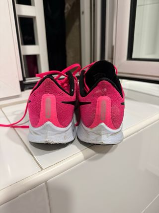 Nike Air Zoom Pegasus 33 Mujer