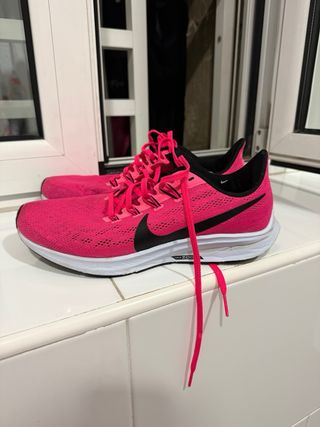 Nike Air Zoom Pegasus 33 Mujer