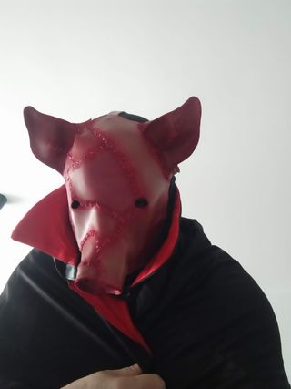 Máscara de cabeza cerdo