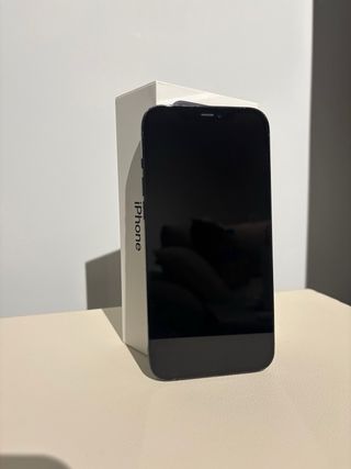 iPhone 12 Pro Max 256GB Blu