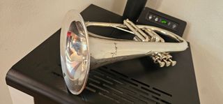 Fliscorno Antoine Courtois Profesional