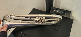 Fliscorno Antoine Courtois Profesional