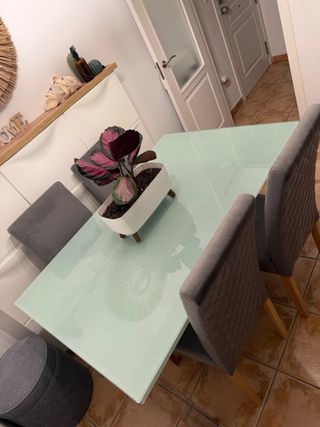 Mesa extensible 6-8 personas + 4 sillas