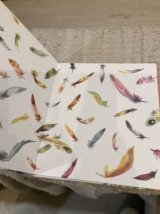 Olivia y la Plumas (Spanish Edition)