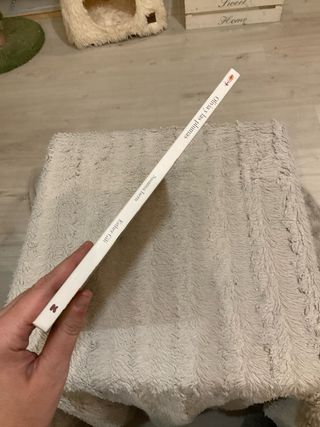 Olivia y la Plumas (Spanish Edition)