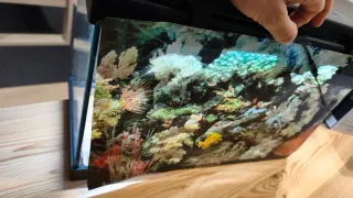 Acuario 20L con filtro y luz LED