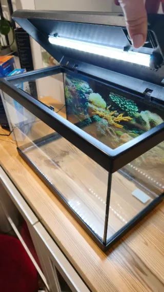 Acuario 20L con filtro y luz LED