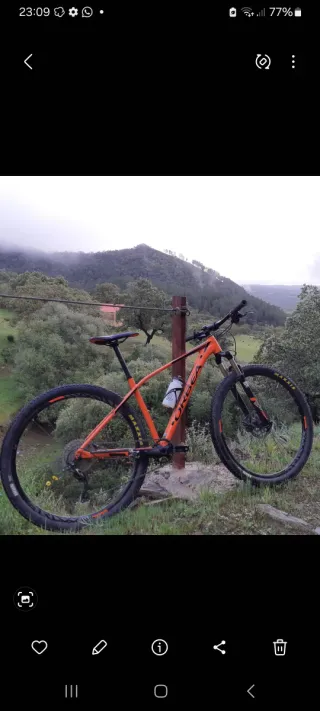 Bicicleta Orbea Naranja