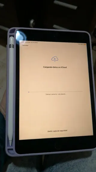 iPad mini 5 + Apple Pencil 1ª Gen