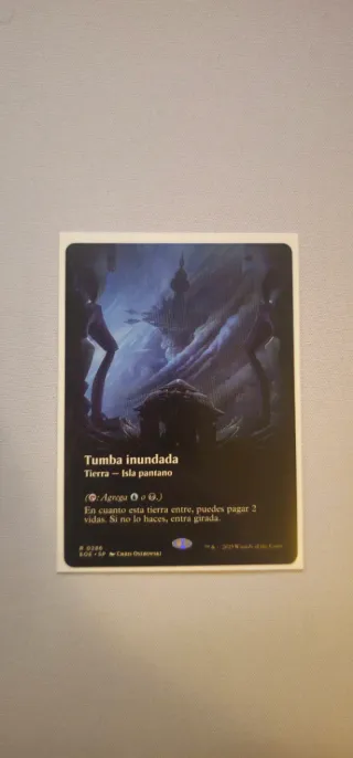 Tumba inundada (Borderless) MTG Carta