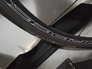 CHOLLO Bicicleta de Carretera Wilier La Triestina