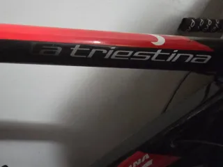 CHOLLO Bicicleta de Carretera Wilier La Triestina