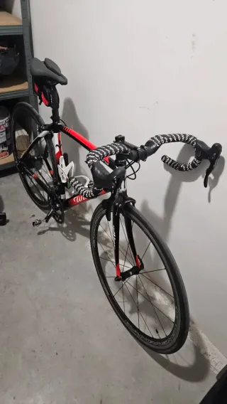 CHOLLO Bicicleta de Carretera Wilier La Triestina