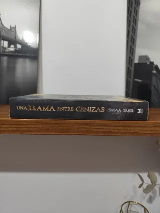 Una llama entre cenizas / An Ember in the Ashes...
