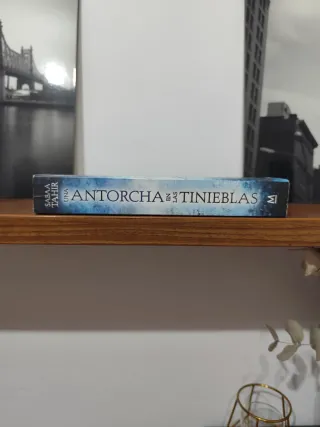 Una llama entre cenizas / An Ember in the Ashes...