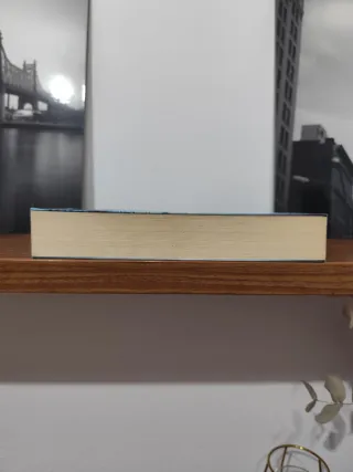 Una llama entre cenizas / An Ember in the Ashes...