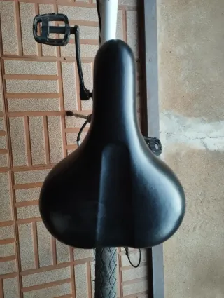 Bicicleta infantil 24 BTWIN