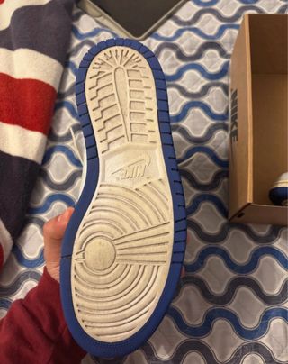 Scarpe Jordan Blu e Multicolor