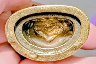 Miniatura Statua Buddha Ottone