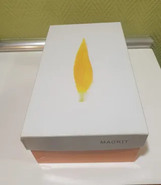 Zapatos de salón Magrit