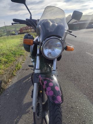 Honda CBF 250 Carburación 2006 A2