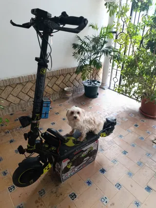 Kukirin G2 Master Patinete Eléctrico