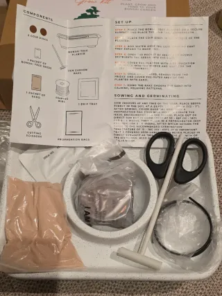 Kit para cultivar tu propio bonsai