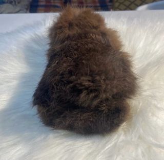 Monchhichi Peluche Vintage Scimmia