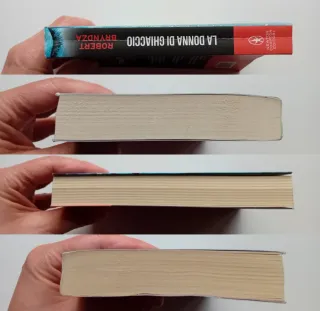 La donna di ghiaccio di Robert Bryndza