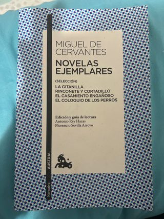 Novelas ejemplares. Selección