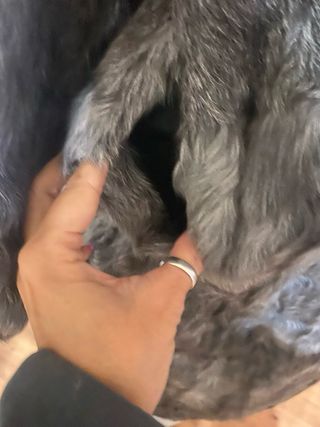 Abrigo de piel de conejo de peleteria