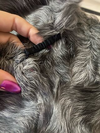 Abrigo de piel de conejo de peleteria