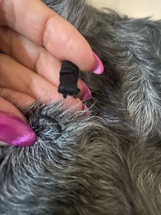 Abrigo de piel de conejo de peleteria