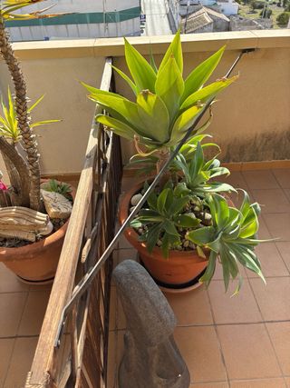 Valla de madera rústica para jardín