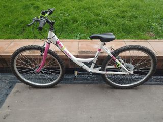 Bicicleta Denbike 24