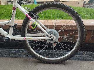 Bicicleta Denbike 24