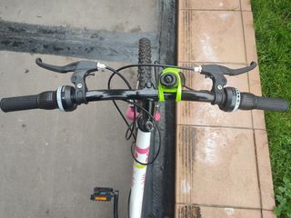 Bicicleta Denbike 24